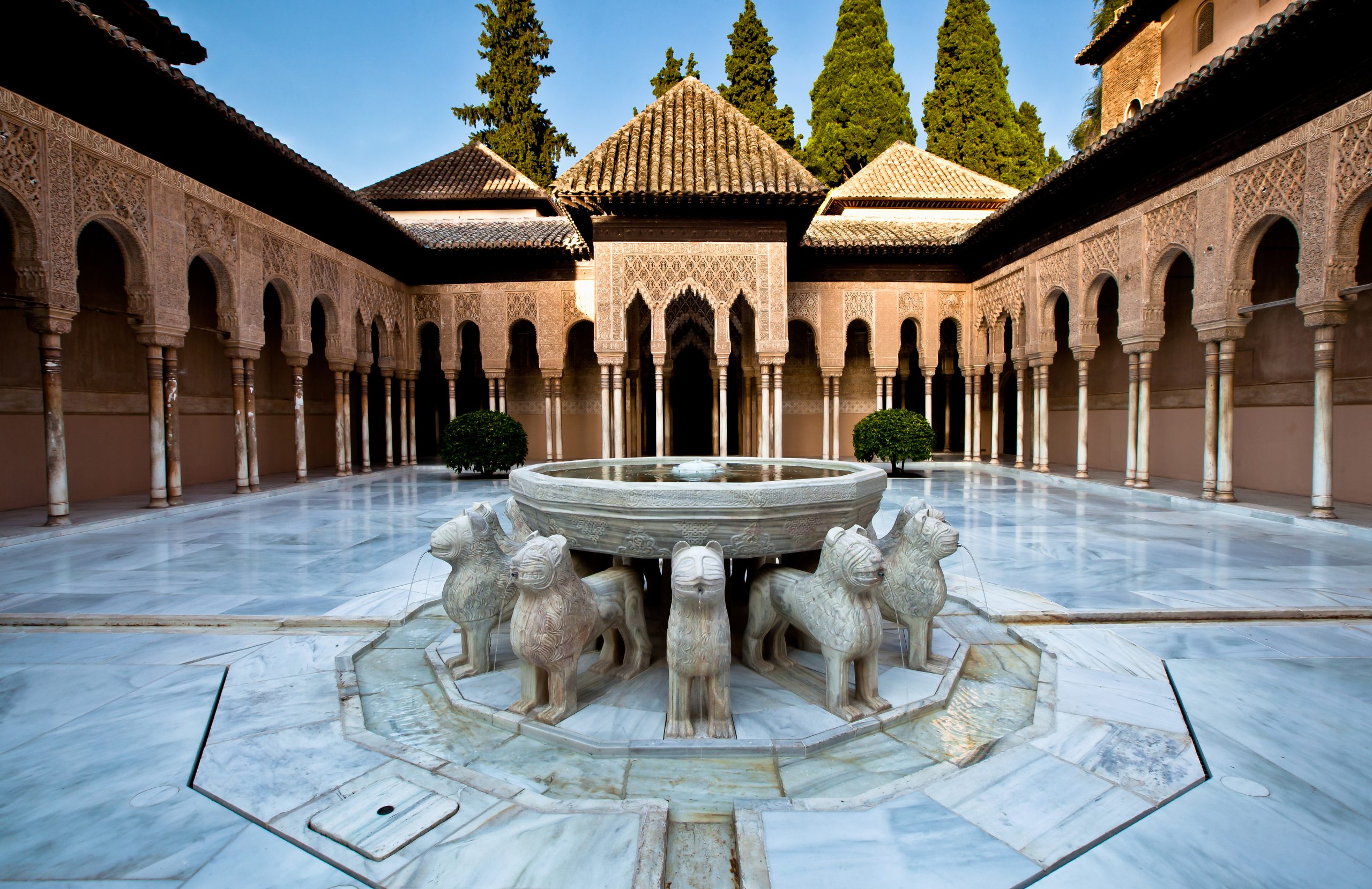 patio-leones-3-1-scaled-1