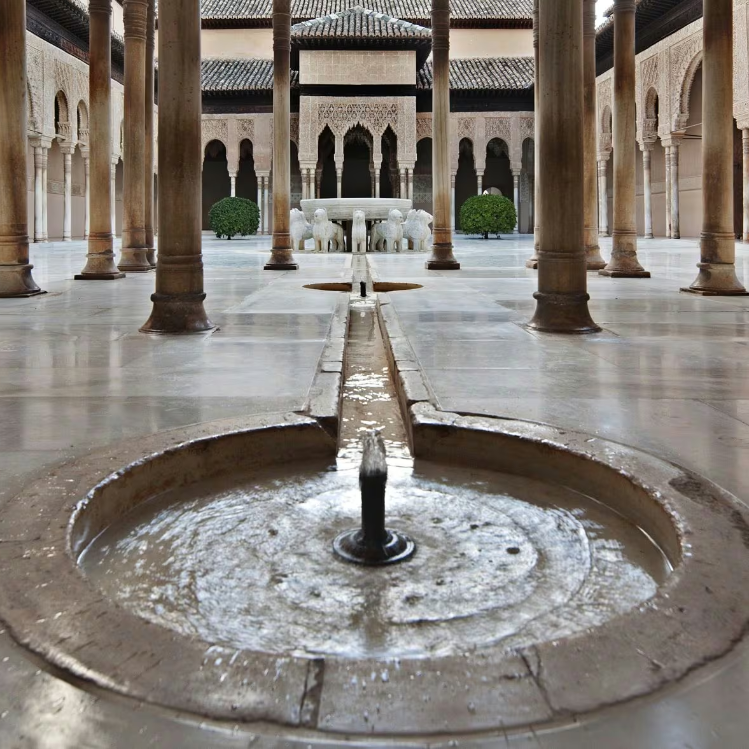 5.Acosta_agua_patioleones