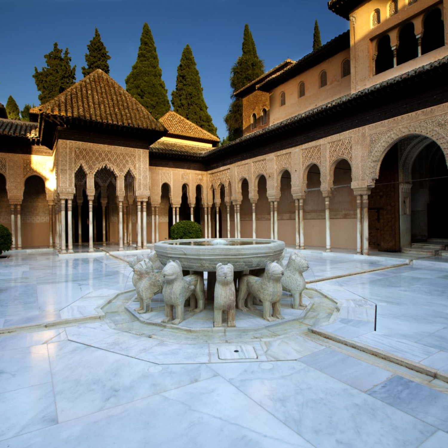 5.VisitaGeneral.PATIO_LEONES